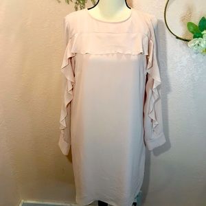 Banana Republic Blush Long Sleeve Dress
